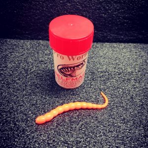 Pro Worms 65mm