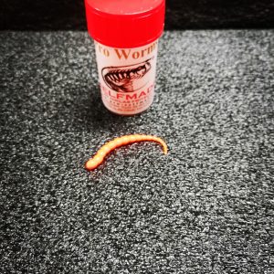 Pro Worms 45mm