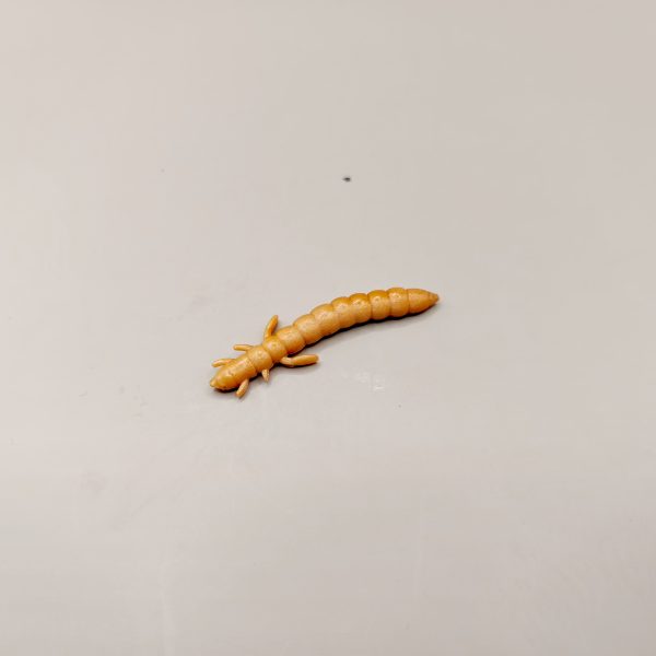 Pro Larva